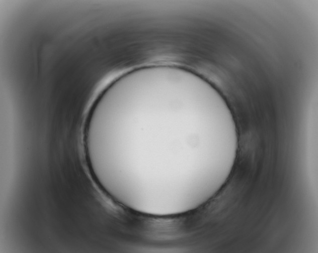 X0000088151470200705211146