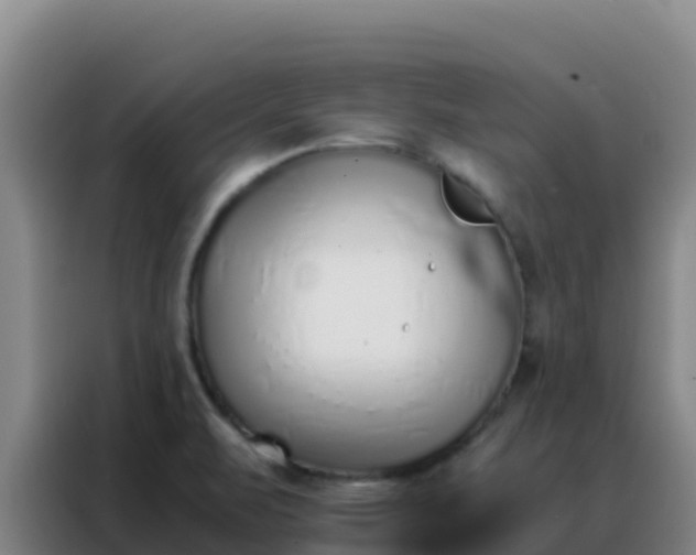 X0000088151471200705211146