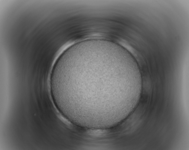 X0000088151474200705211146