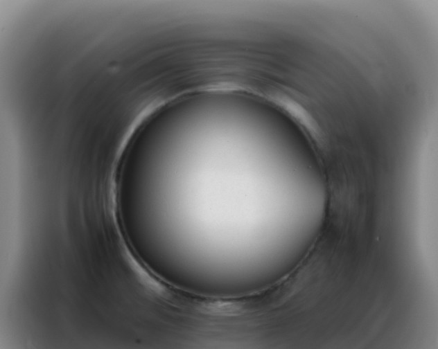 X0000088151476200705211146