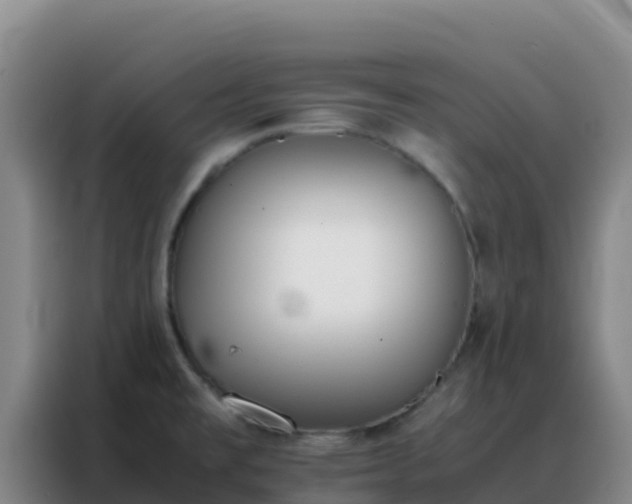 X0000088151477200705211146