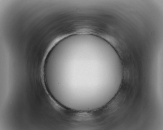 X0000088151478200705211146