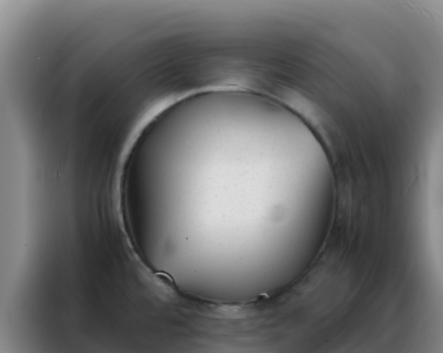 X0000088151480200705211146