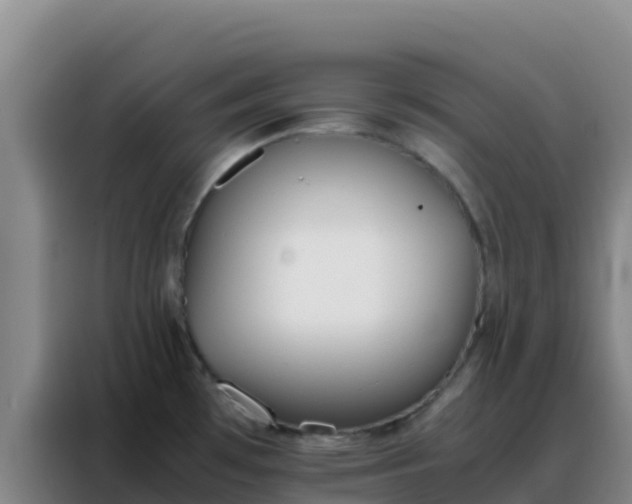 X0000088151481200705211146