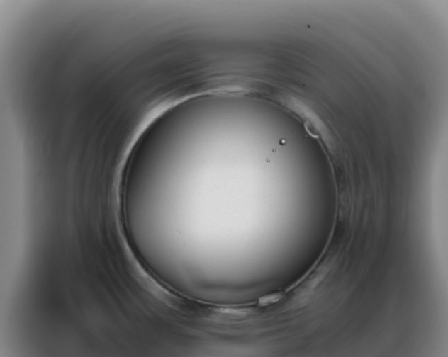 X0000088151483200705211146