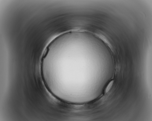 X0000088151484200705211146