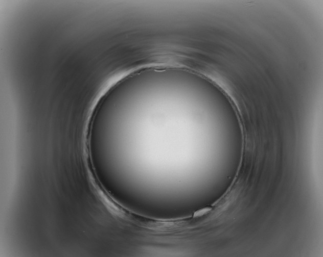 X0000088151485200705211146