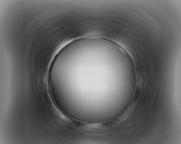 X0000088151486200705211146