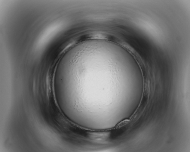 X0000088151487200705211146