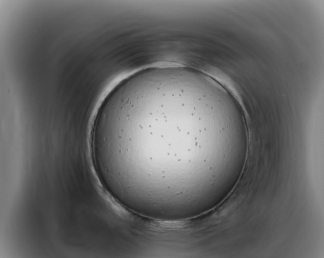 X0000088151488200705211146