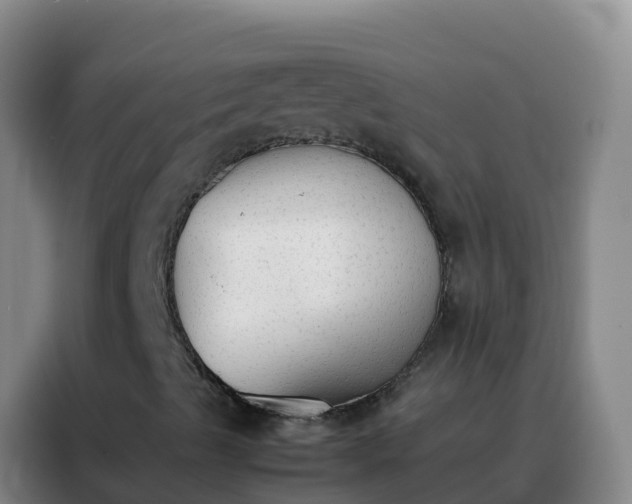 X0000088151489200705211145