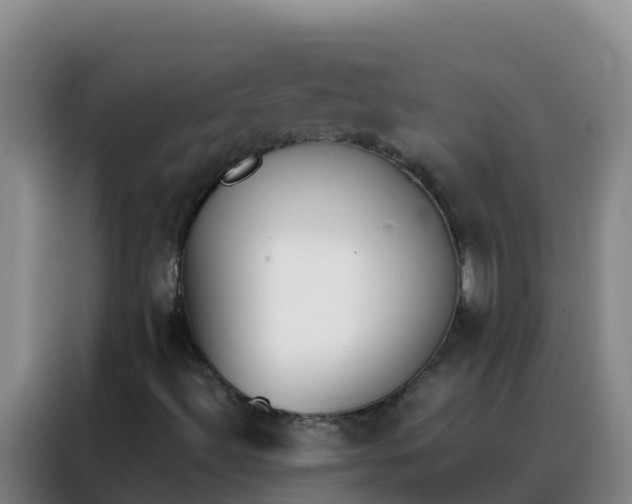 X0000088151492200705211145