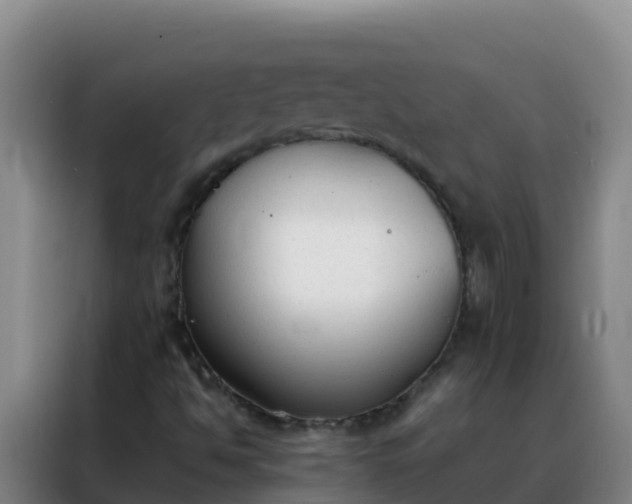 X0000088151494200705211145