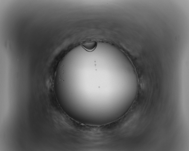 X0000088151495200705211145