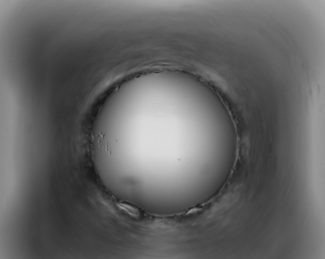 X0000088151496200705211145