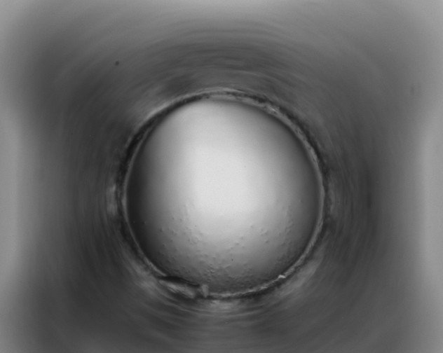 X0000088151497200705211145