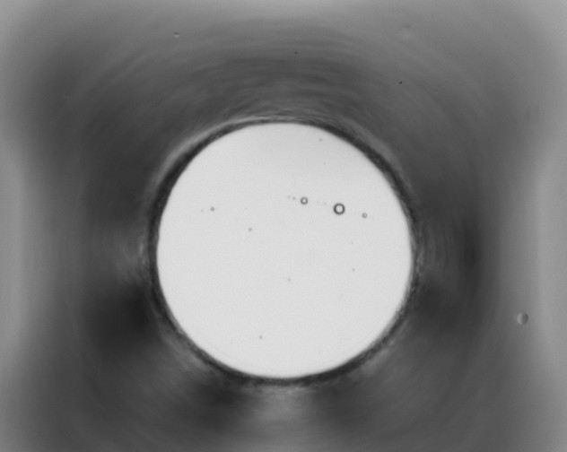 X0000088151498200705211145