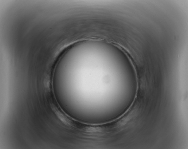 X0000088151499200705211145