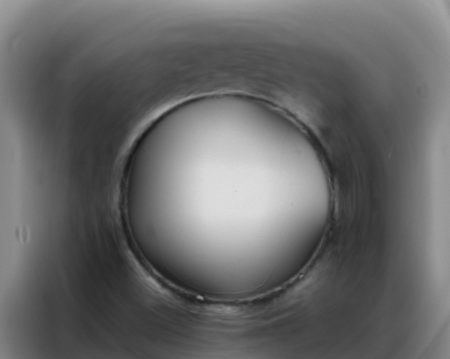 X0000088151500200705211145