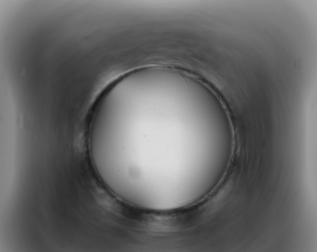 X0000088151501200705211145