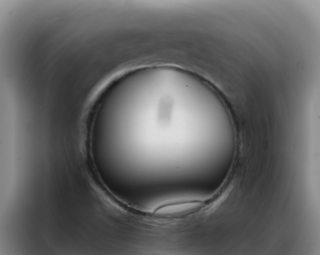 X0000088151502200705211145