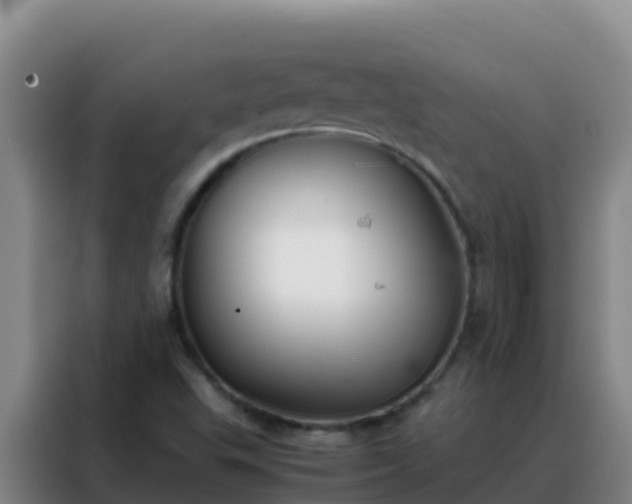 X0000088151503200705211145