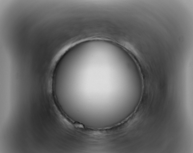 X0000088151504200705211145