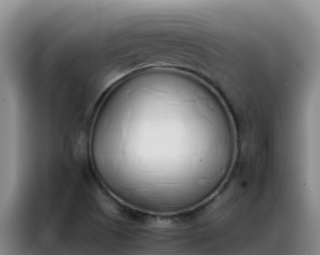 X0000088151505200705211145