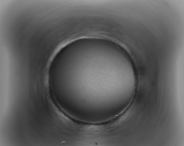 X0000088151506200705211145