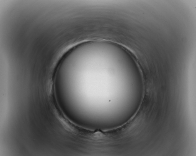 X0000088151507200705211145