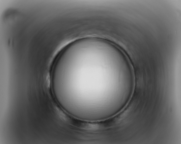 X0000088151509200705211145