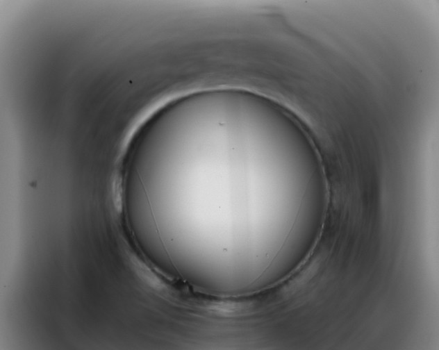 X0000088151510200705211145