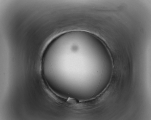 X0000088151511200705211145