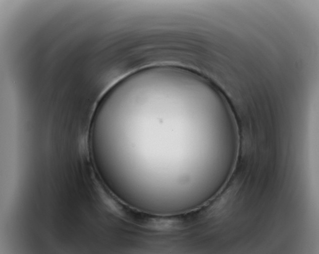 X0000088151513200705211145