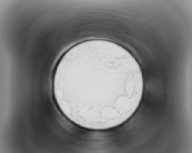 X0000088151514200705211145