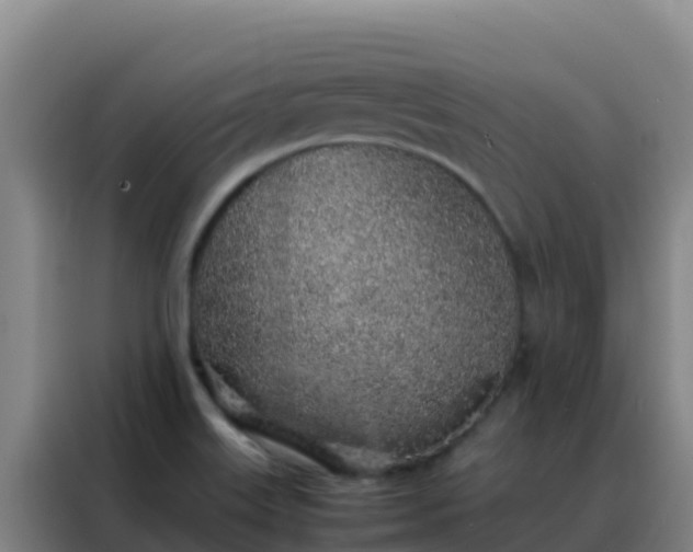 X0000088151515200705211145