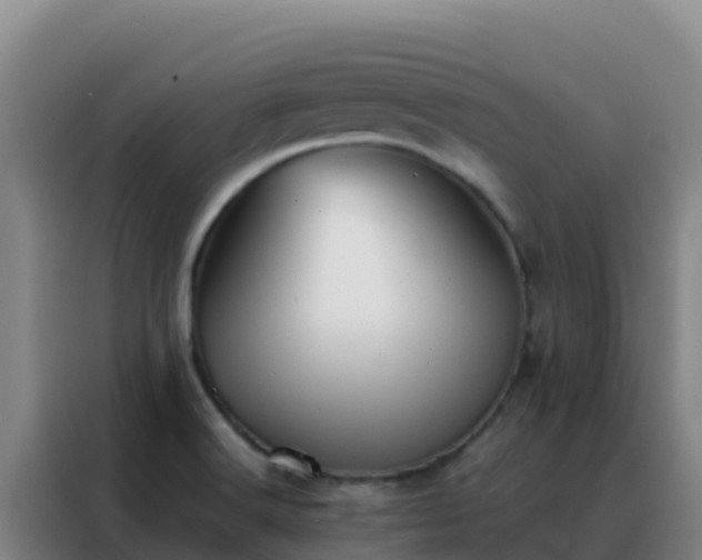 X0000088151516200705211145