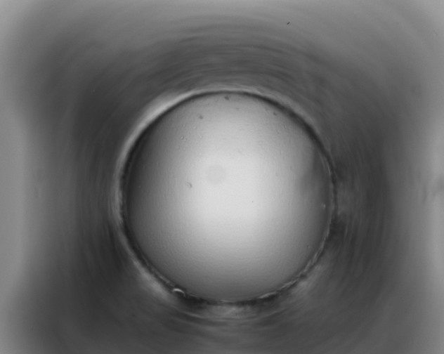 X0000088151517200705211145