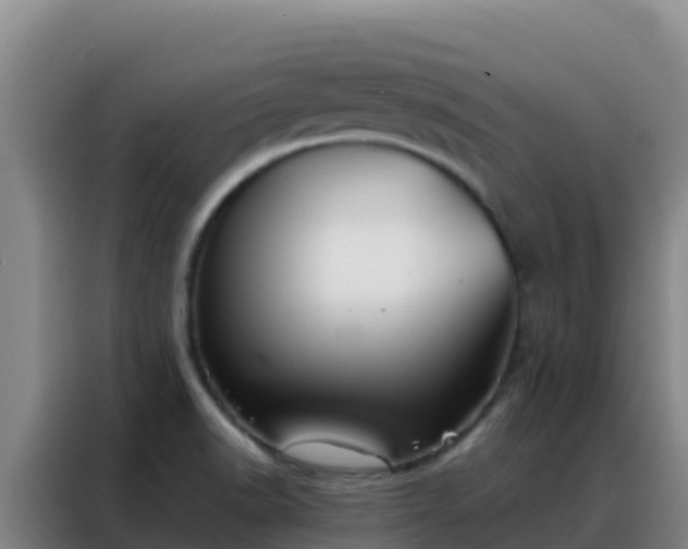 X0000088151518200705211145