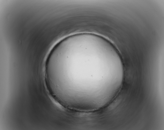 X0000088151519200705211145