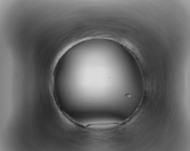 X0000088151520200705211145