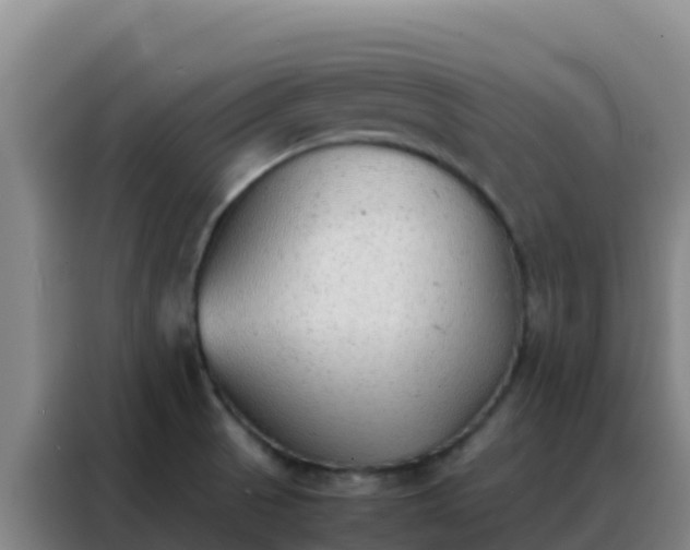 X0000088151521200705211145