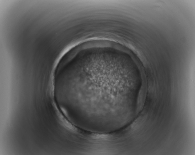 X0000088151522200705211145