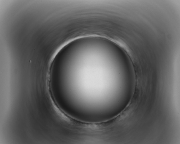 X0000088151524200705211145