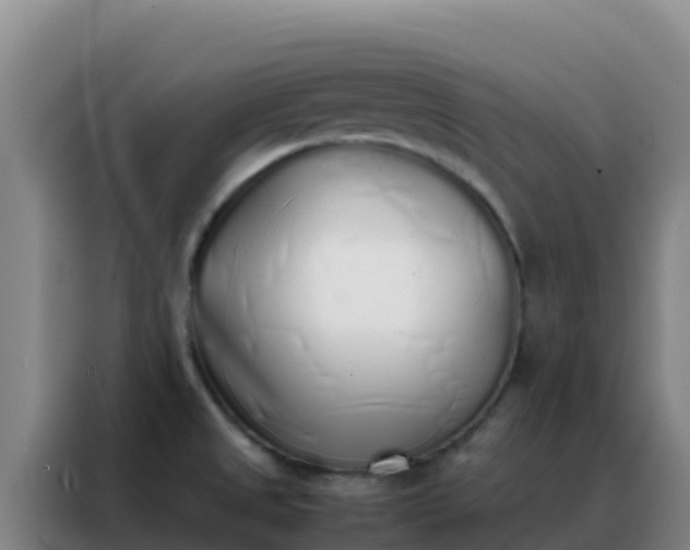 X0000088151525200705211145