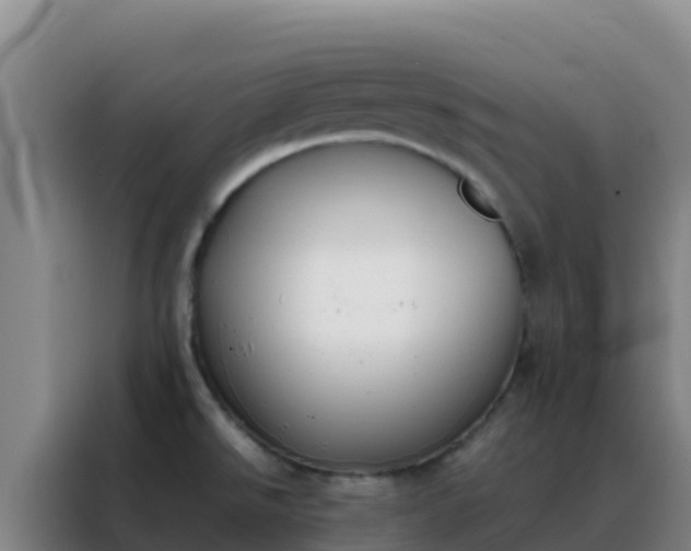 X0000088151526200705211145