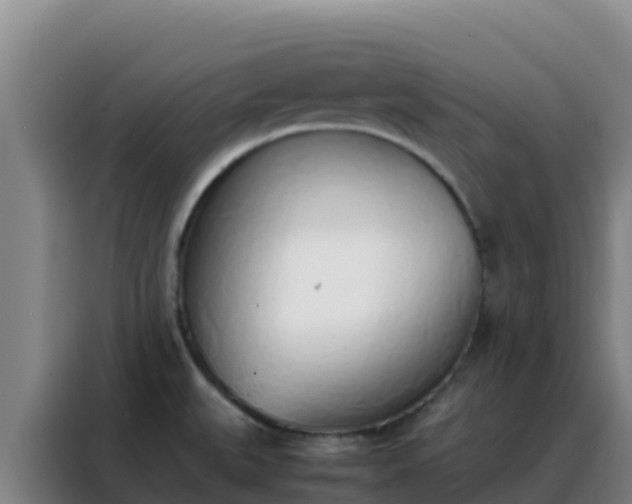 X0000088151527200705211145