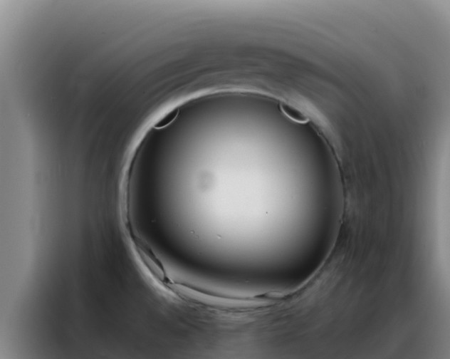 X0000088151528200705211145