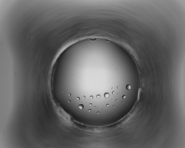 X0000088151530200705211146