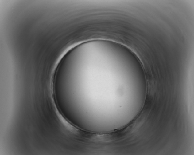 X0000088151531200705211146